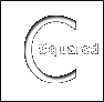 美國C-Squared