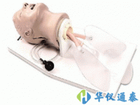 美國NASCO Airway Larry LF03699U急救插管頭部模型