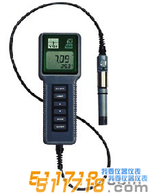 美國YSI 63型酸度、鹽度、電導(dǎo)、溫度測(cè)量儀