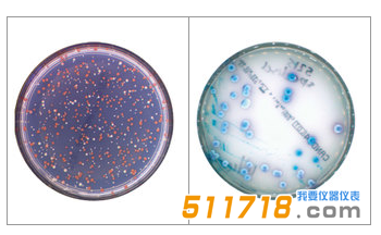 法國(guó)interscience Scan 300全自動(dòng)菌落計(jì)數(shù)器1.png