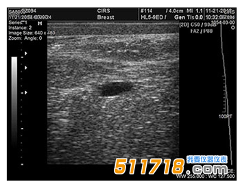 美國CIRS 073多模式乳房活檢和超聲波訓(xùn)練模體1.png