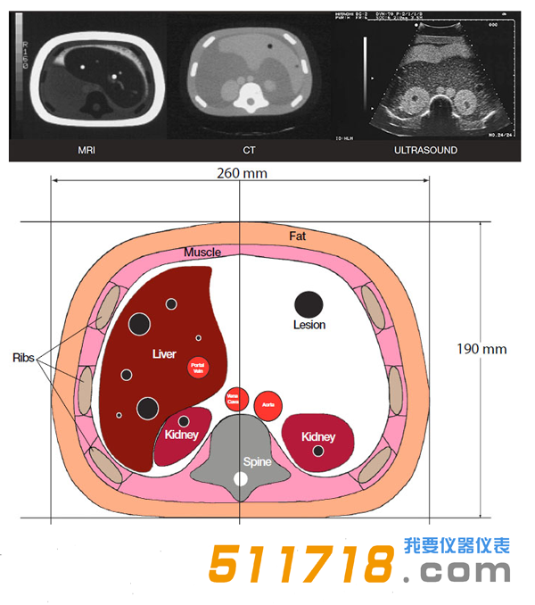 美國(guó)CIRS 057A三維腹部模體1.png