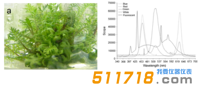 捷克PSI SpectraPen LM510手持式光譜儀應(yīng)用案例.png